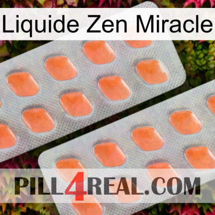 Miracle Zen Liquid 27
